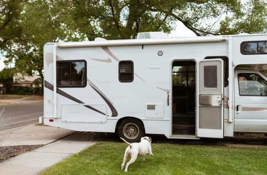RV Adventure - Year-Round Dog Care and travel tips