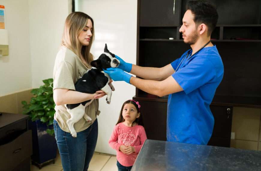 first veterinary visit - dedicated general vet