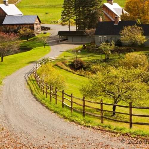 Homestead Living