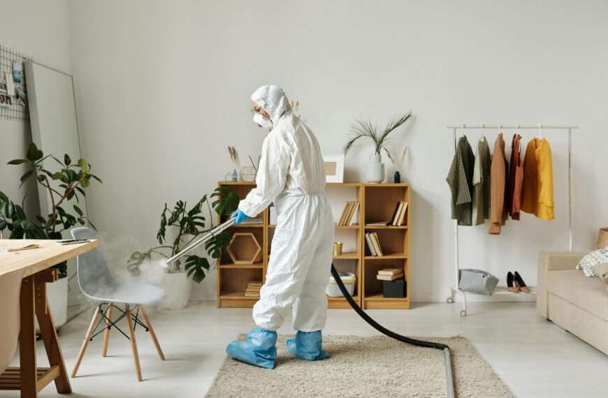Seasonal Pest Issues