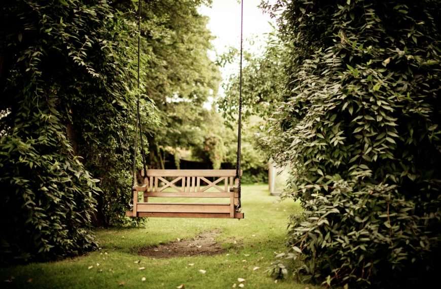 Unhappy With Your Garden