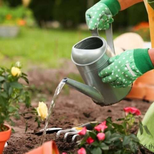 Seasonal Gardening