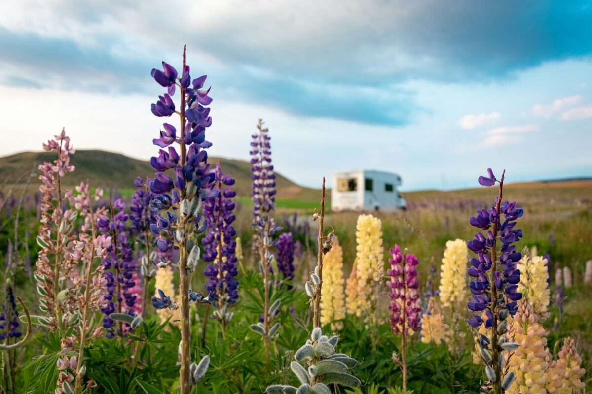 RV travel