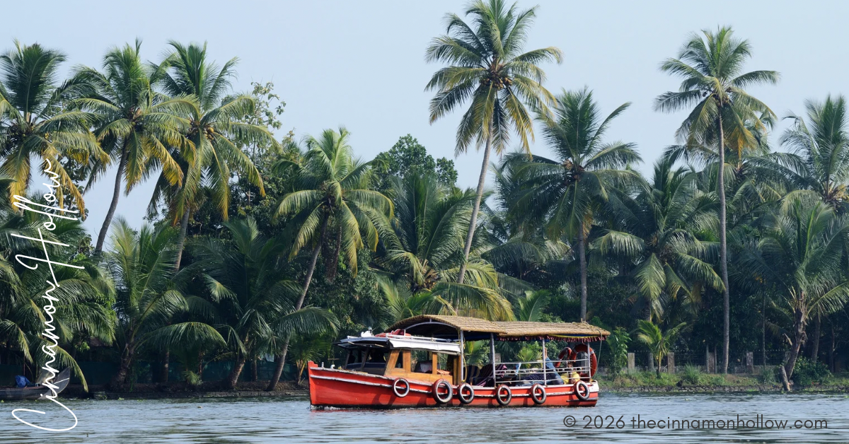 Kerala Travel Experiences: Complete Guide to Backwaters, Hills & Beaches