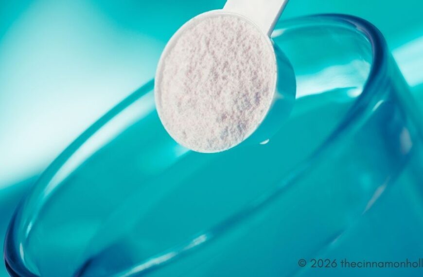 Organic Electrolyte Powder