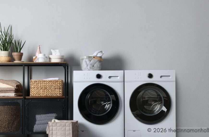 rent a washer and dryer