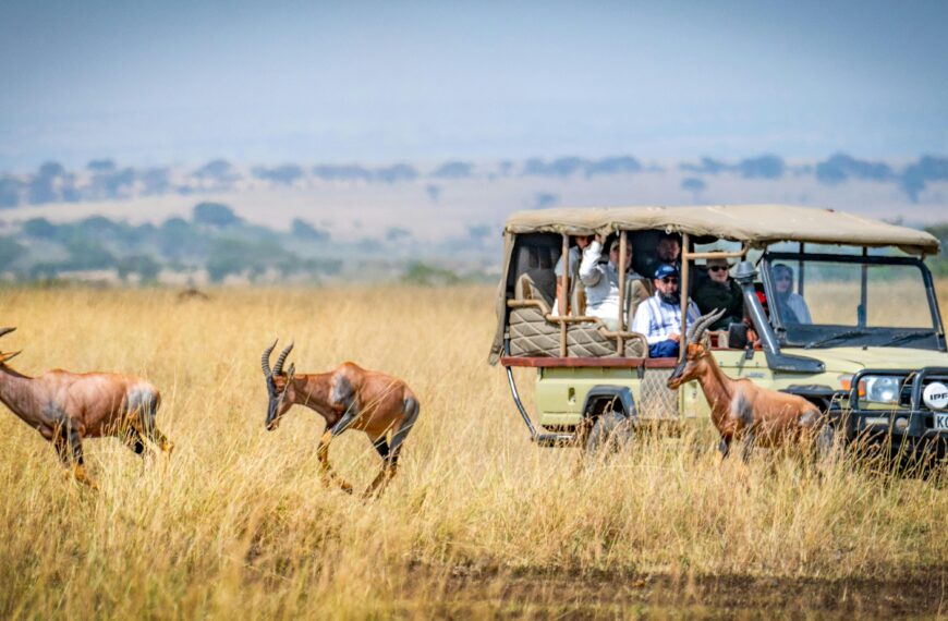 Safari In Africa