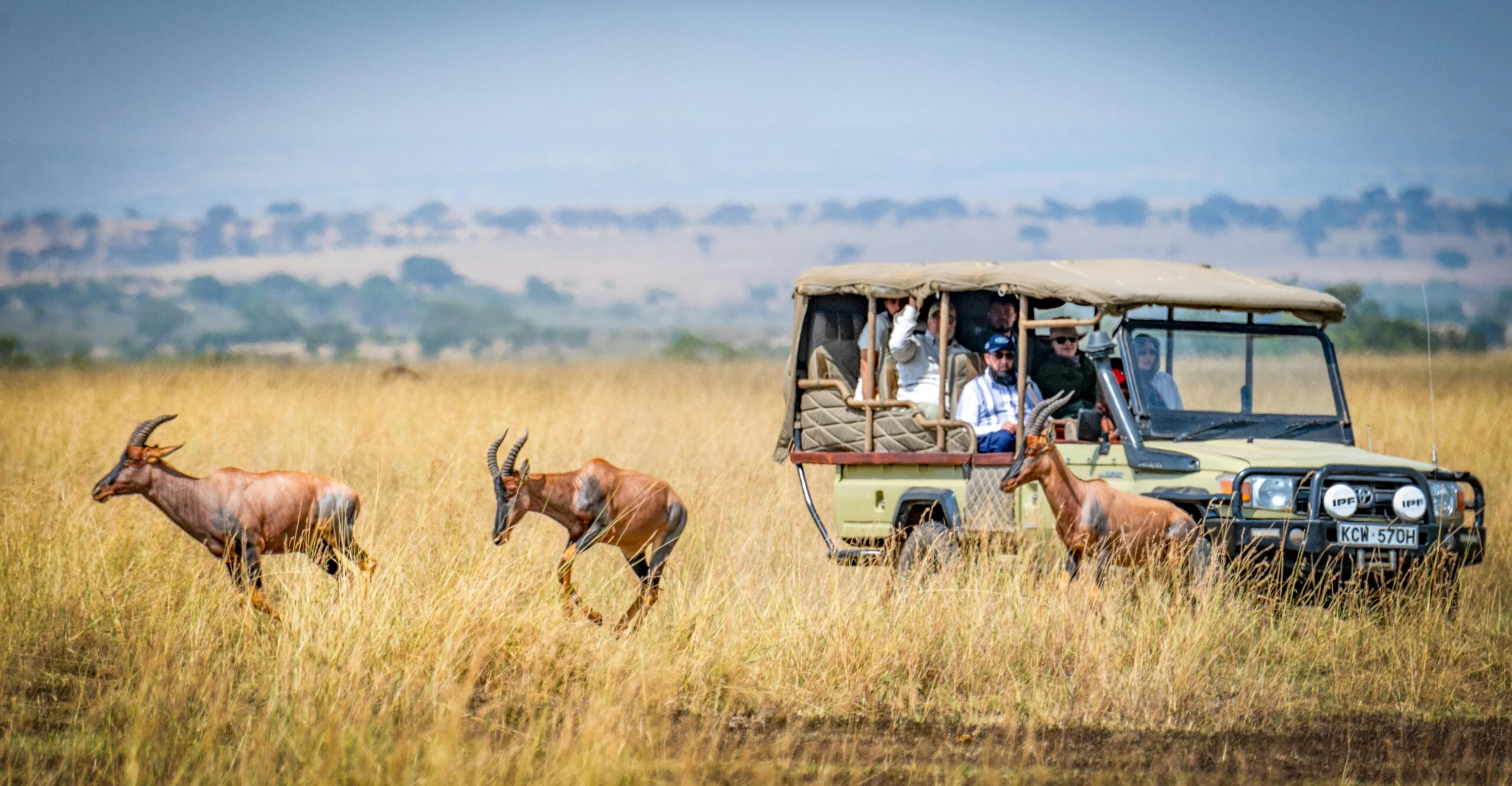 Safari In Africa