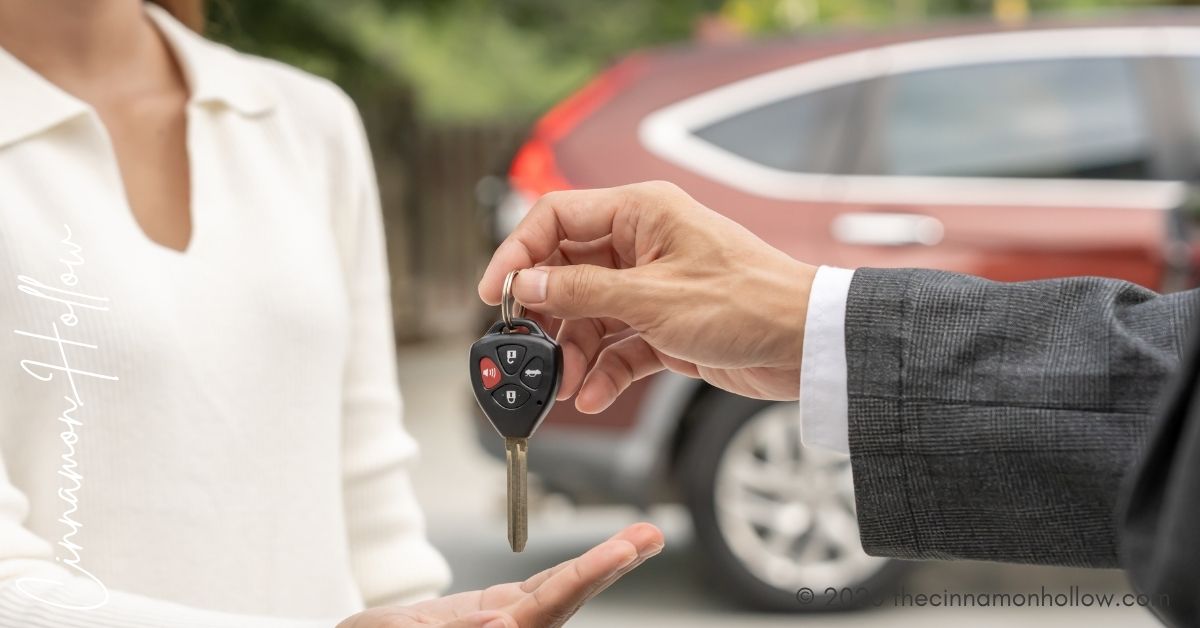 car rental companies