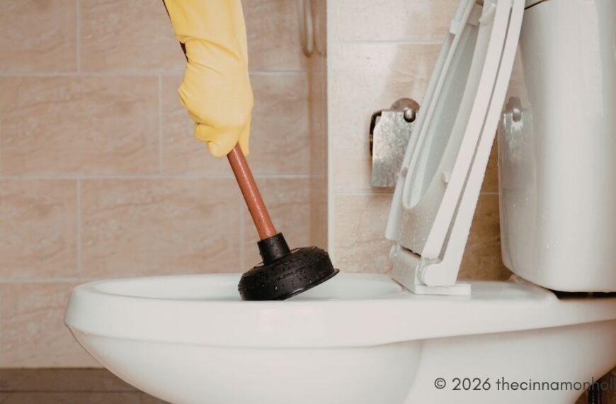 Roto-Rooter - clogged toilet