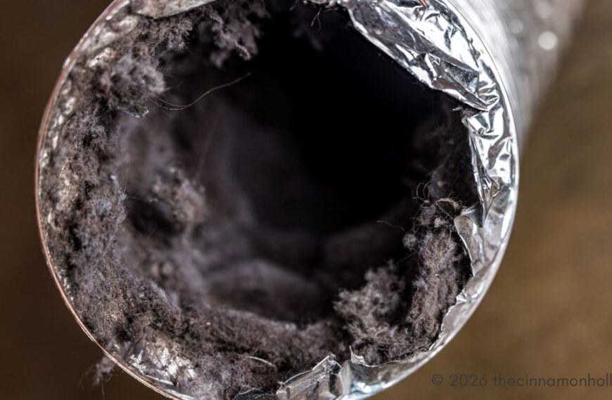 Dryer Vent Cleaning