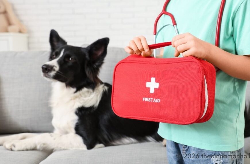 Tactical Readiness for Pet Emergencies | K9 & Pet First Aid Guide
