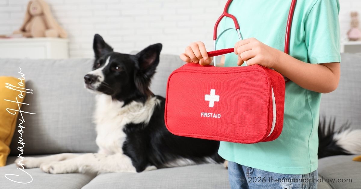 Tactical Readiness for Pet Emergencies | K9 & Pet First Aid Guide