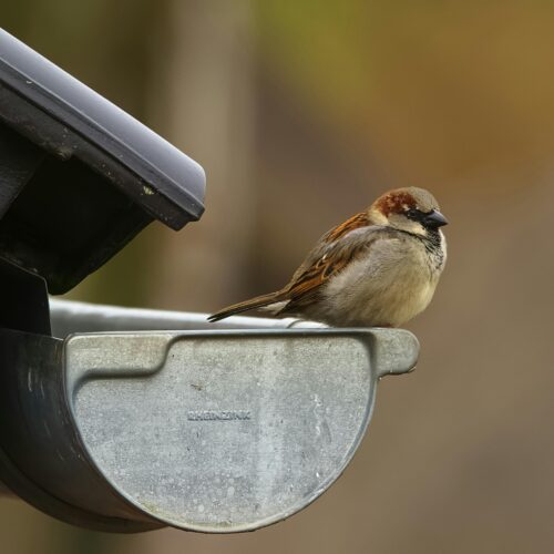 items in and around your home that should be updated like gutters