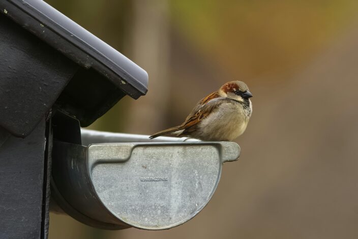 items in and around your home that should be updated like gutters