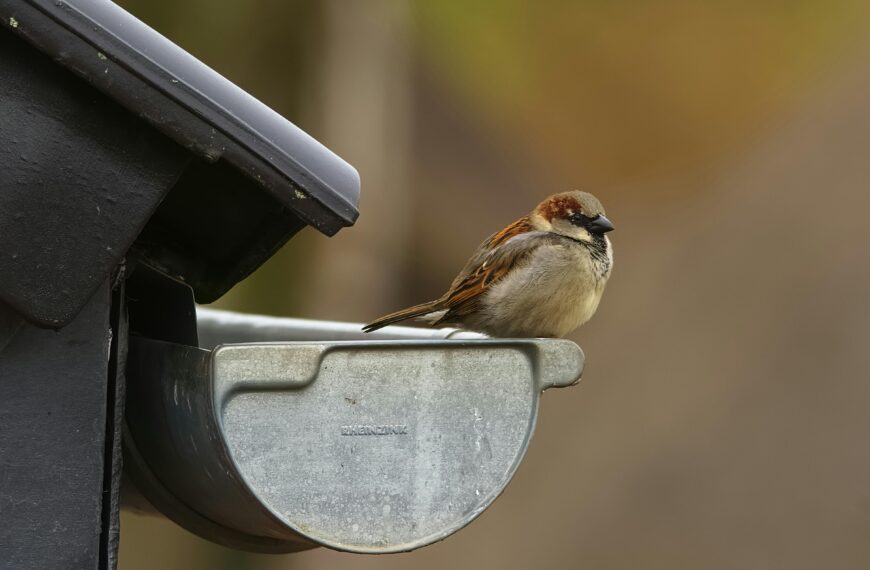 items in and around your home that should be updated like gutters