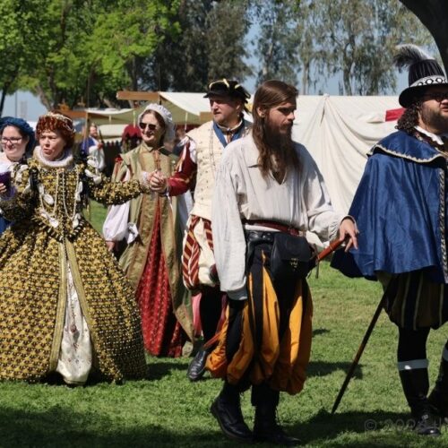 Renaissance Fair Outfit