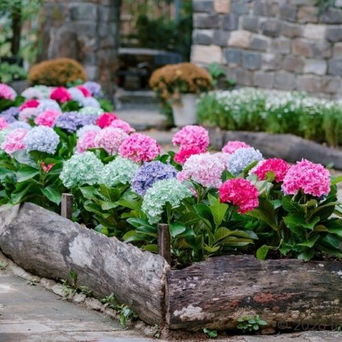 rustic garden ideas