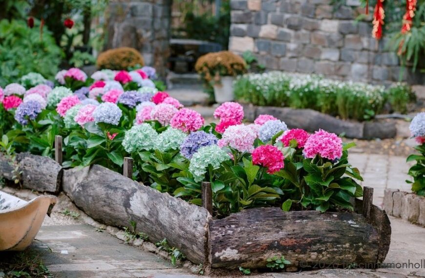 rustic garden ideas