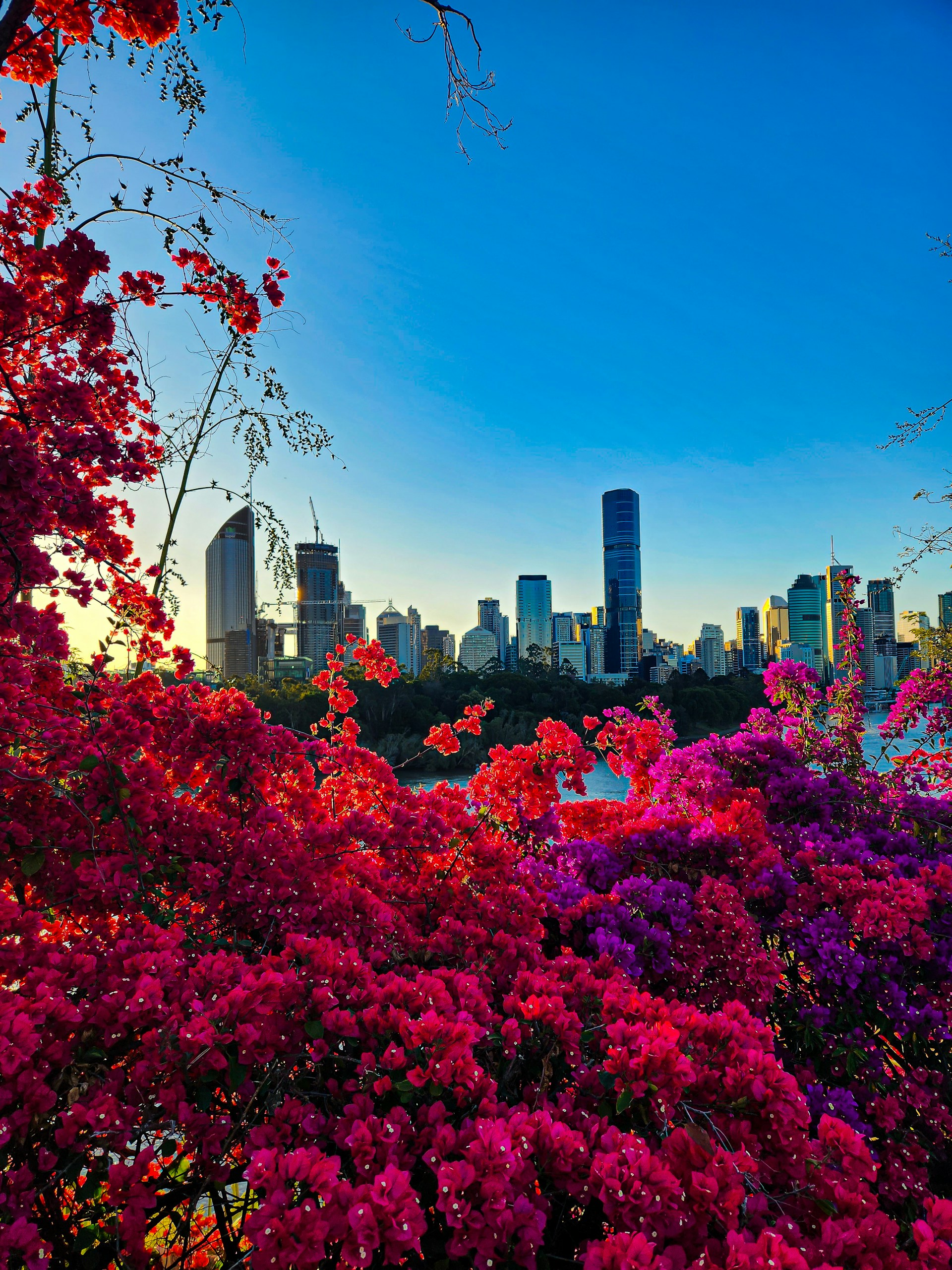 Queensland Australia