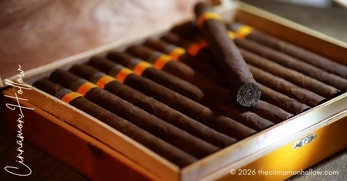 cigar setup
