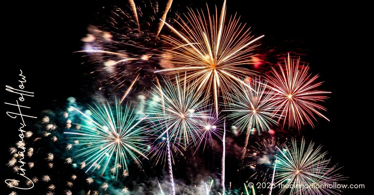 firework display pack