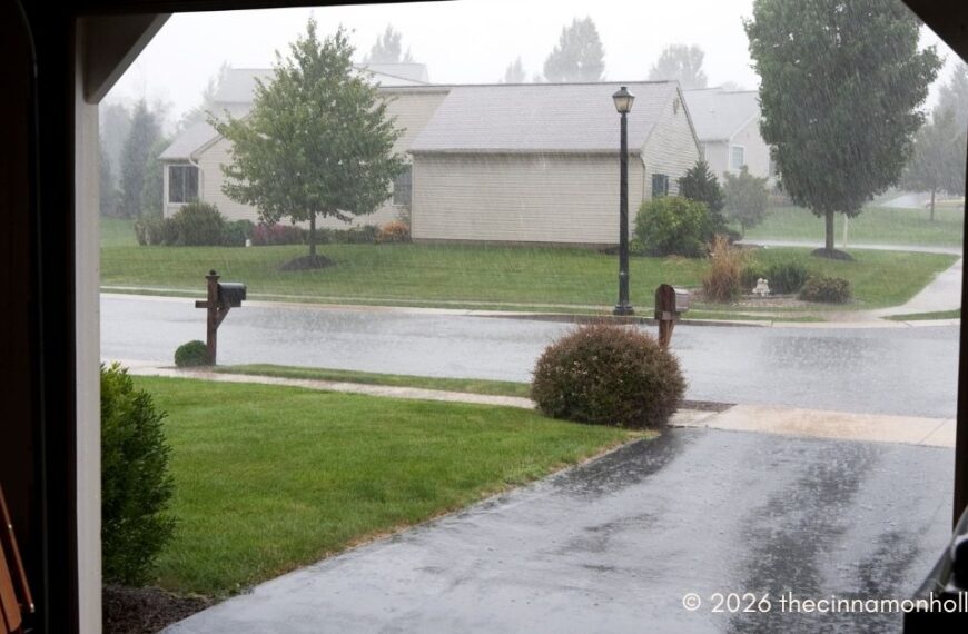 storms and garage door