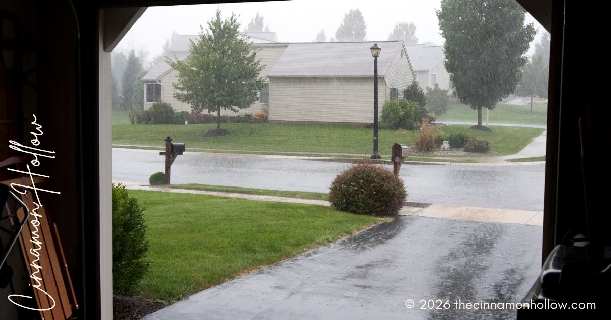 storms and garage door