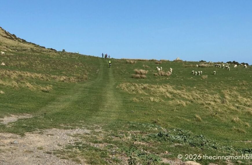 Bike Trail Rides in New Zealand