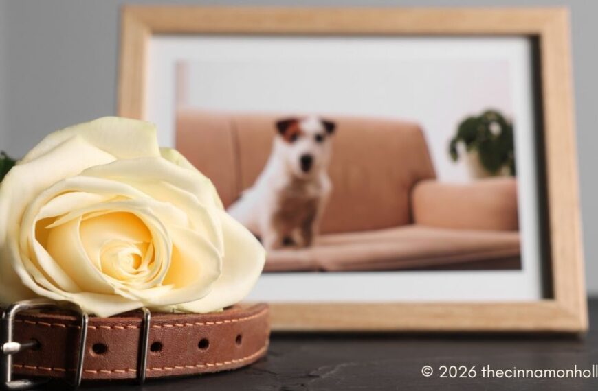 pet’s death