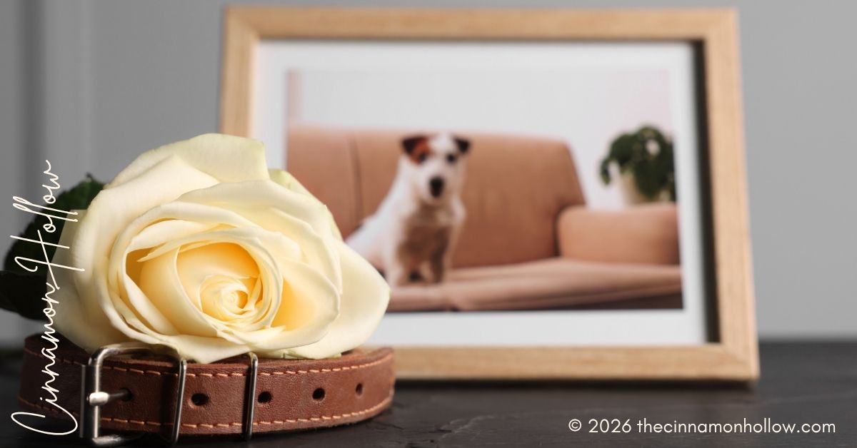 pet’s death