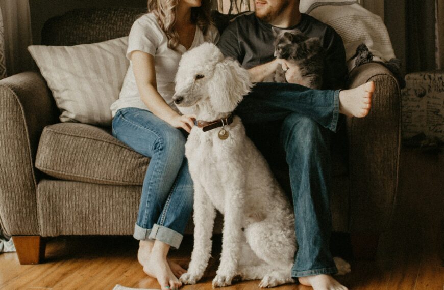 furry friend