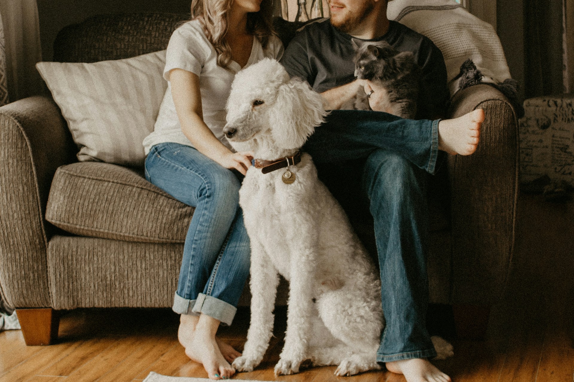 furry friend
