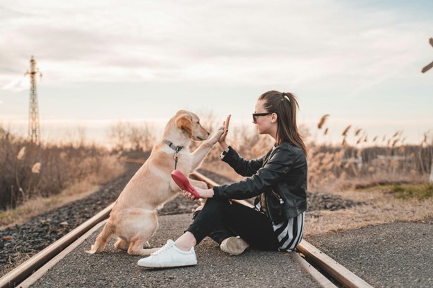 dog owners - mobility issues