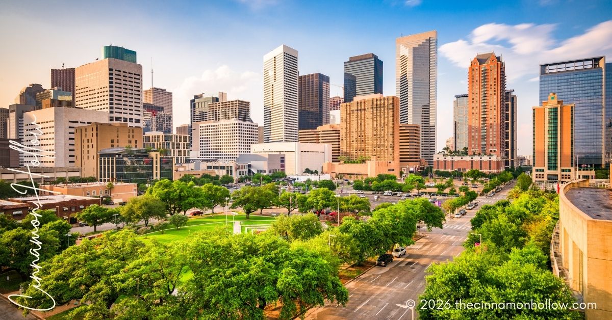 Houston’s food scene - Houston, Texas