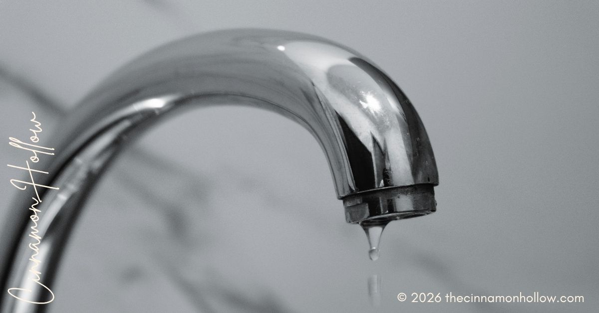 leak detection strategies