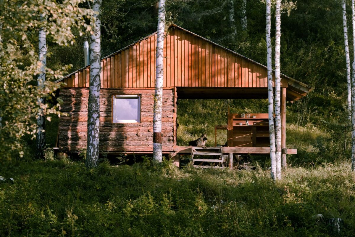 Slow Travel - cabin retreat