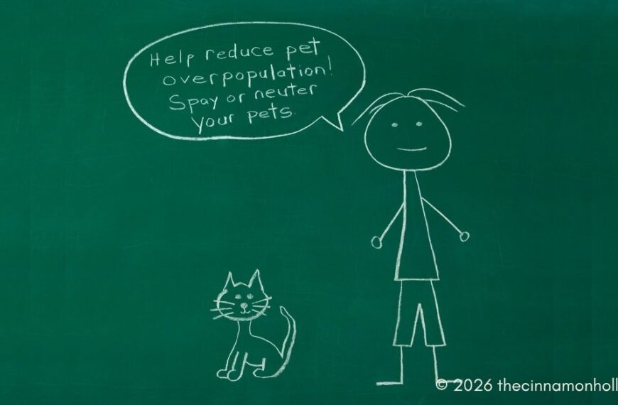 spay and neuter