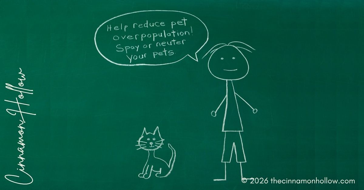 spay and neuter