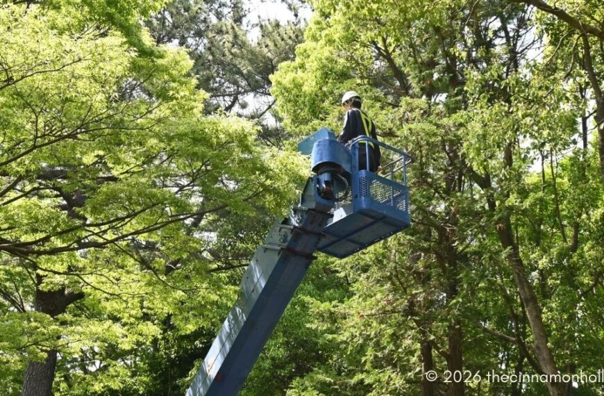 Regular Tree Maintenance
