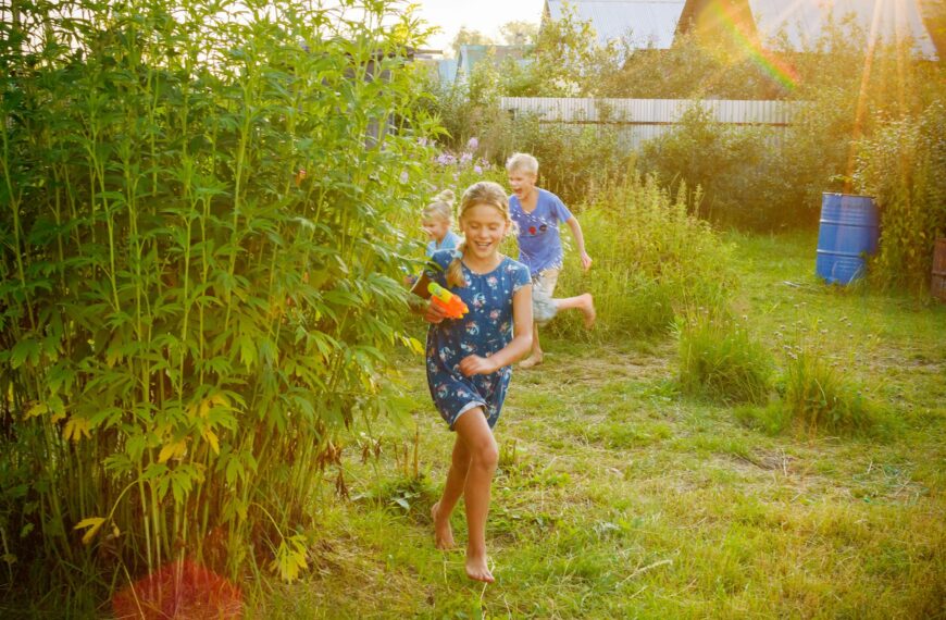 taming overgrown areas