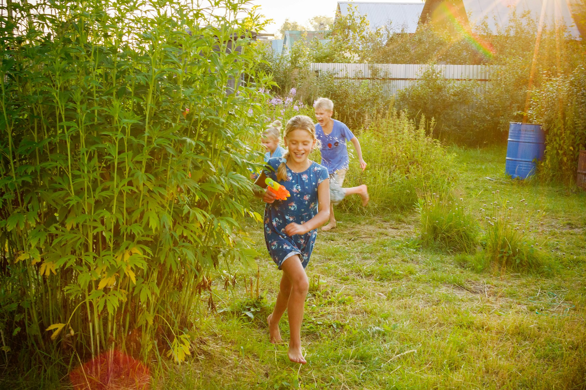 taming overgrown areas