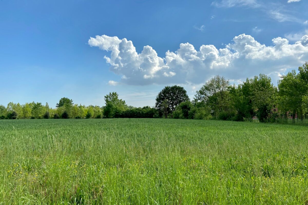 beautiful field view - property investor