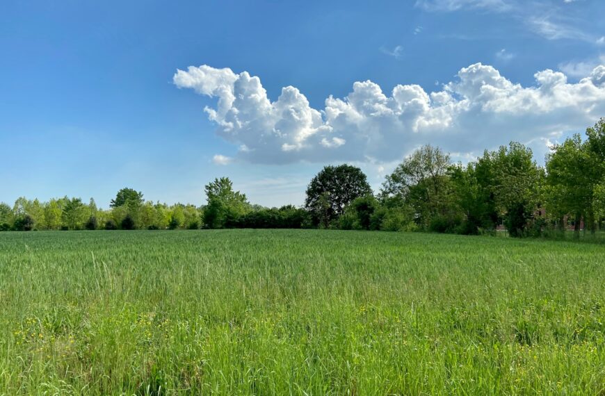 beautiful field view - property investor