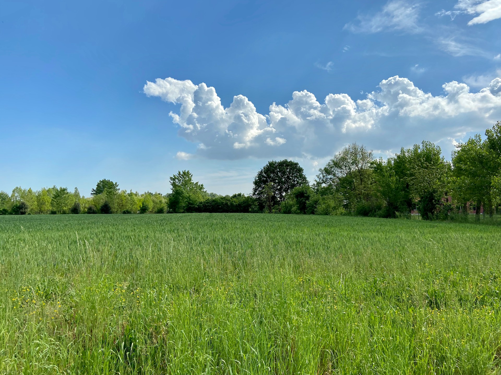 beautiful field view - property investor