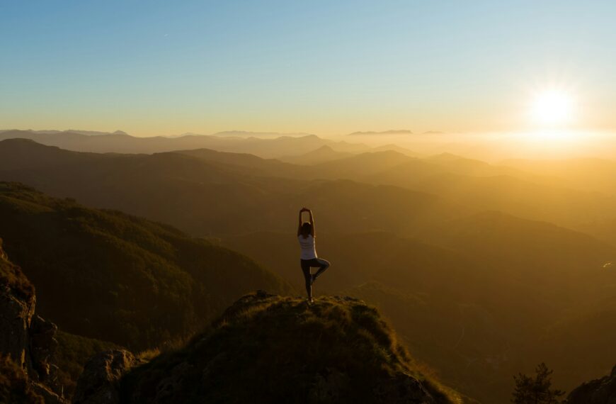 wellness habits