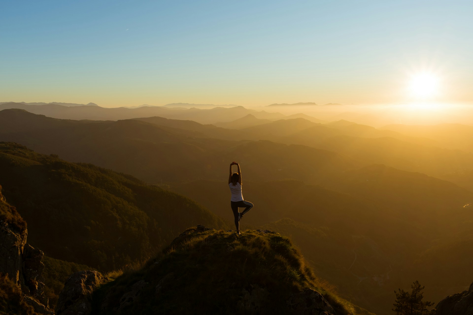 wellness habits