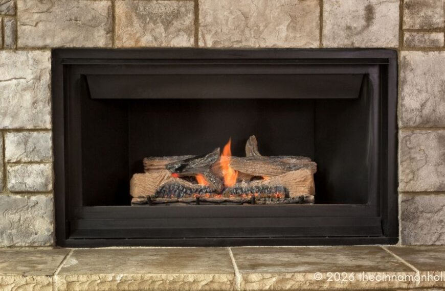 Gas Fireplace Insert