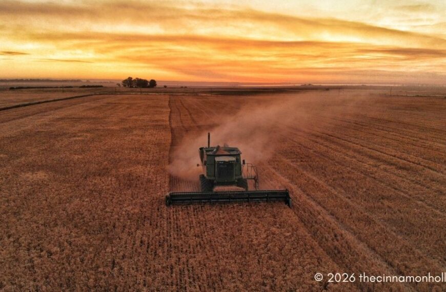 Mistakes That Slow Down Harvest Operations