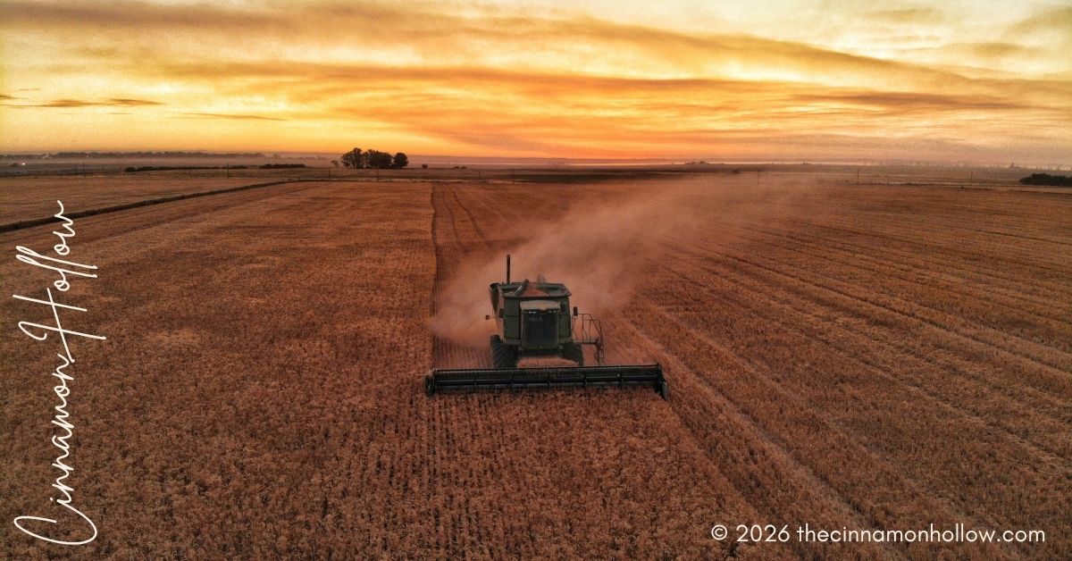 Mistakes That Slow Down Harvest Operations